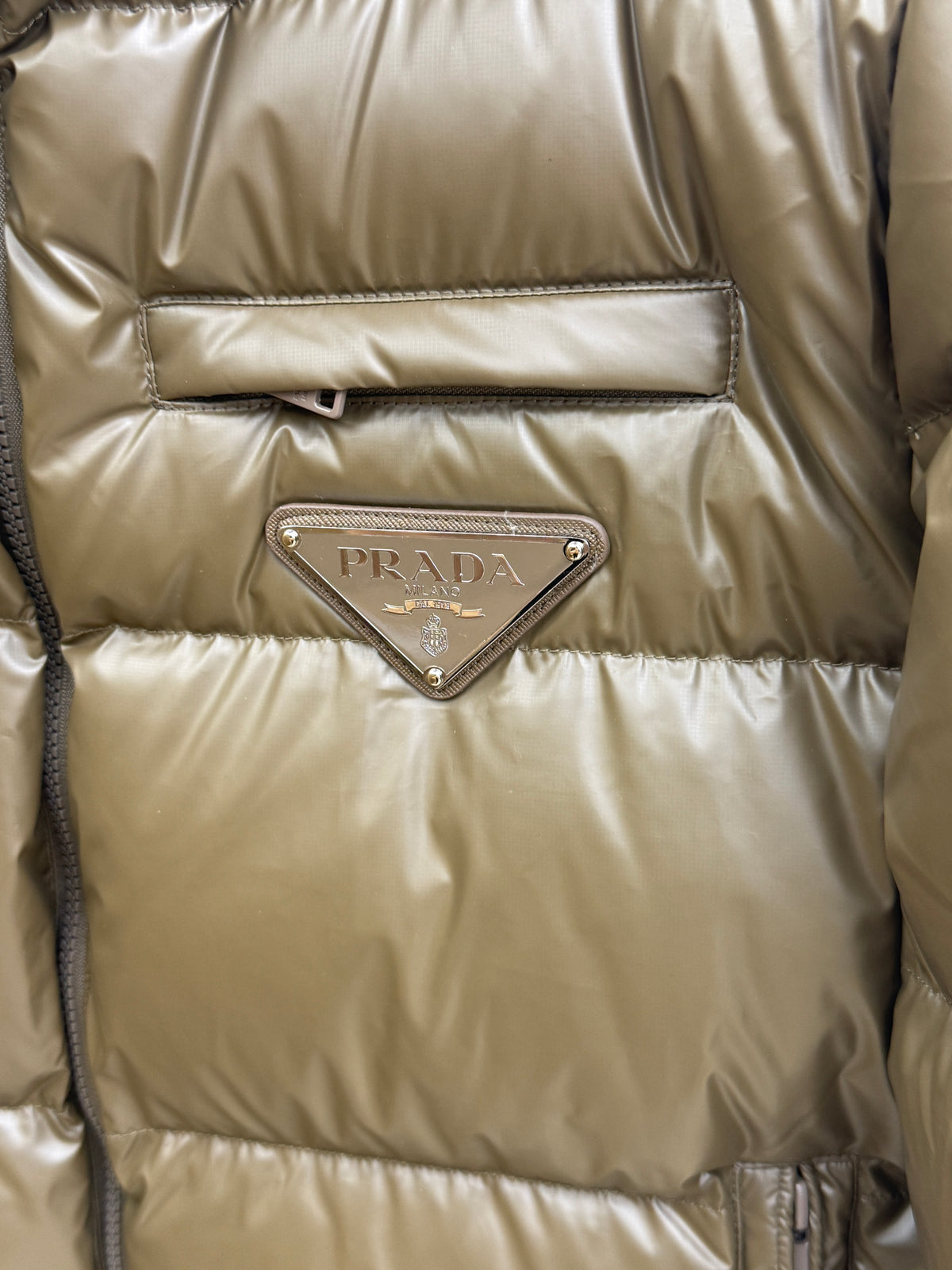 PD 2026 Fall/Winter Stand-Collar Down Jacket | Effortless Everyday Style